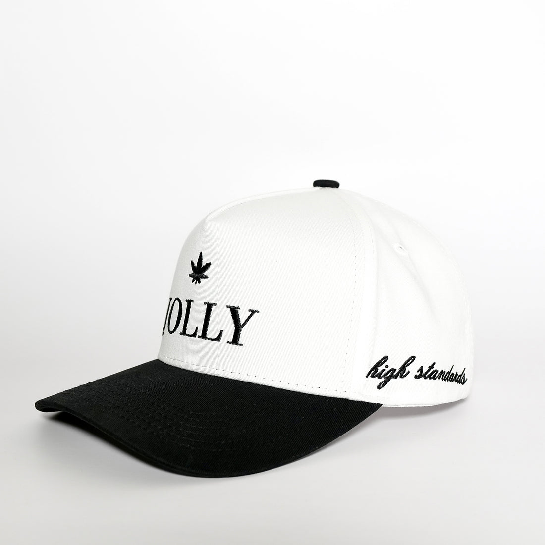 HIGH STANDARDS A FRAME HAT